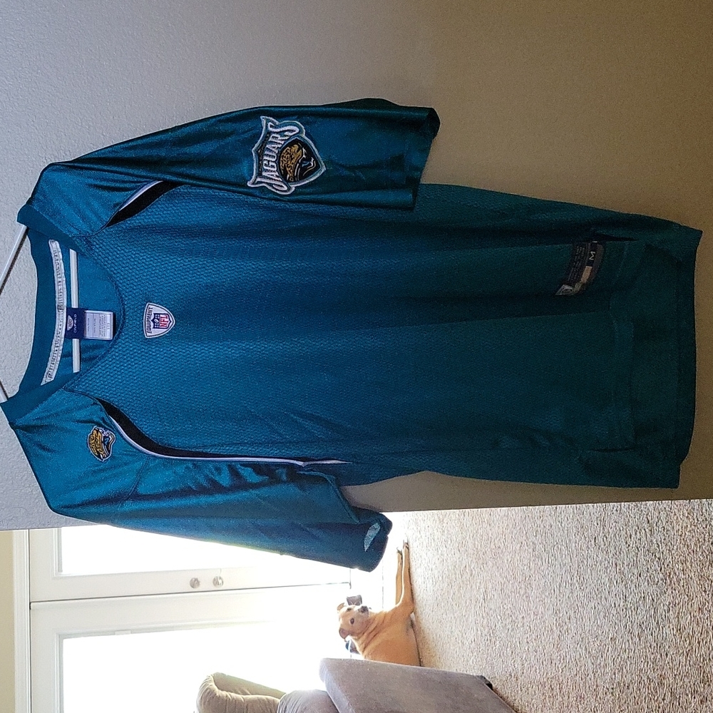 NFL Jaguars jersey  used